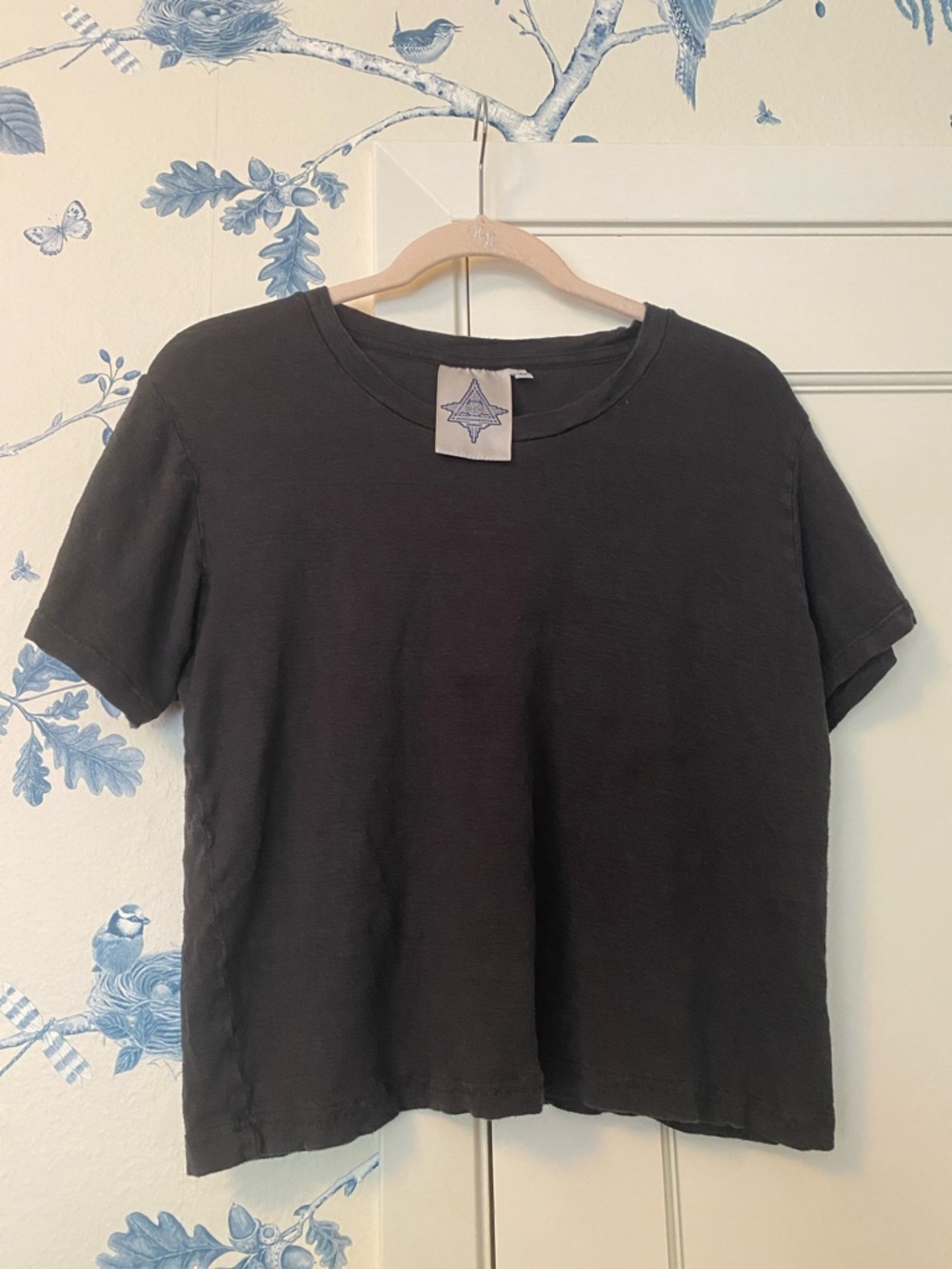 Jungmaven Cropped T-shirts